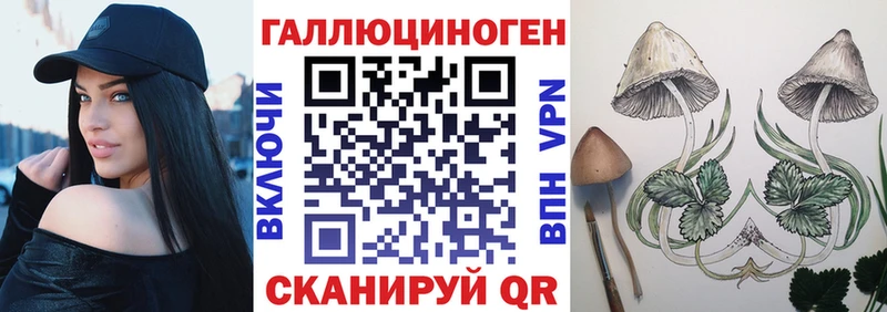 Псилоцибиновые грибы Psilocybe Данилов